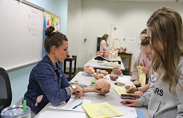 students in anatomy lab