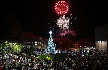 tree lighting with fireworks