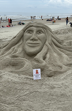sand competition entry